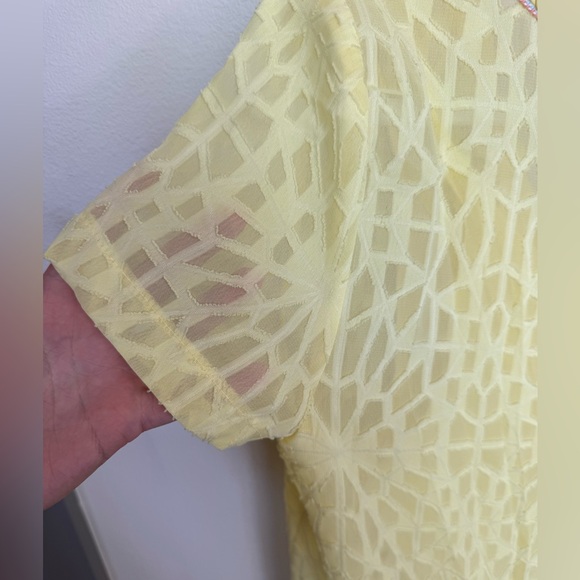 RARE French Short Sleeve Sheer Dress with Slip! By Opullence Paris. Size small. - Picture 8 of 9